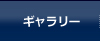 ギャラリー